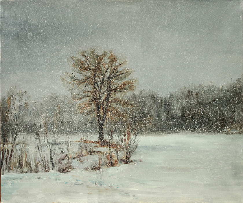 «Снежная тишина»